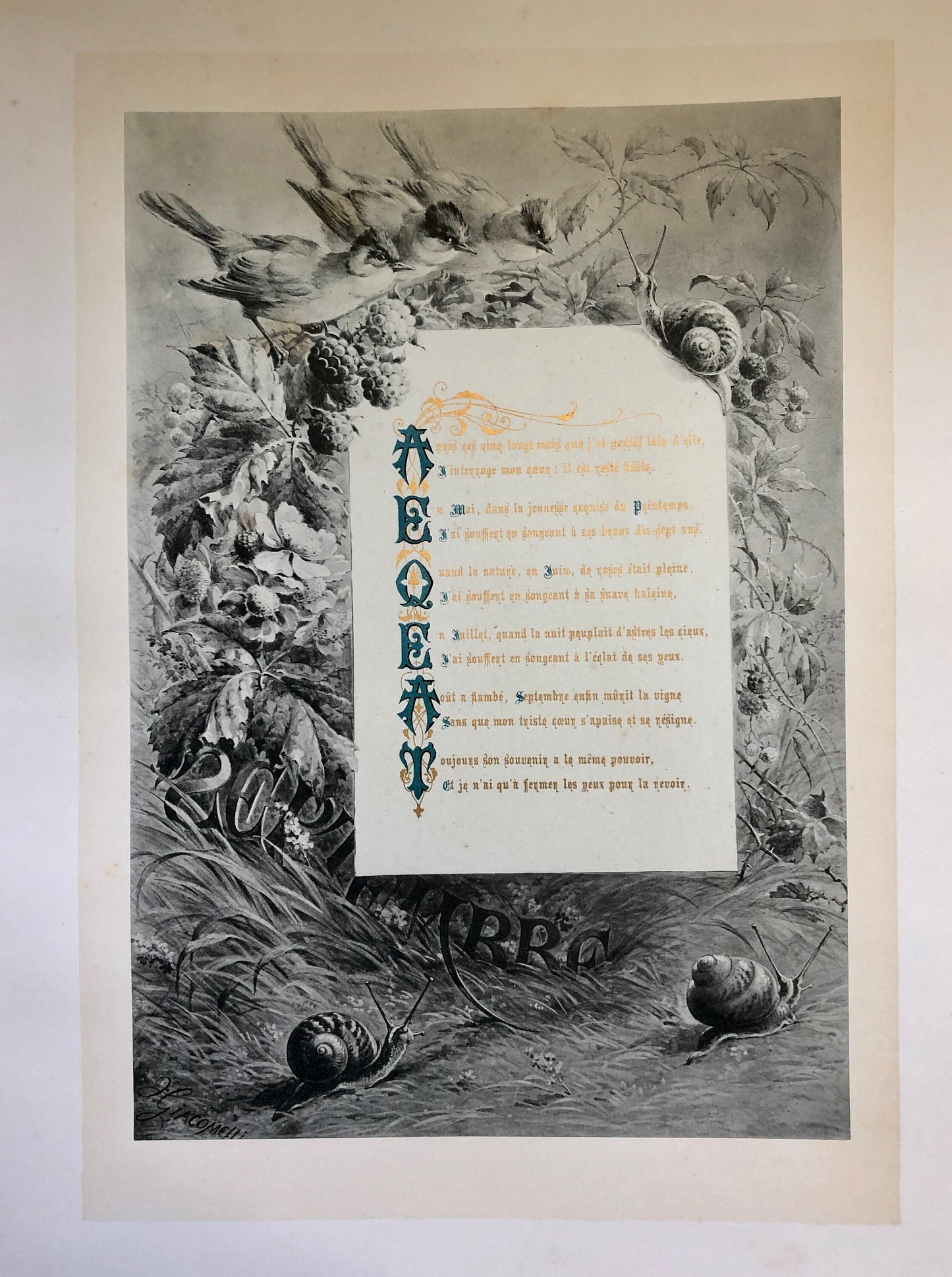 Les Mois. The Months. A Collection of 12 Illustrated Poems by Francois Coppee. Engravings by H. Giacamelli. Large format: 54 x 37 cms.