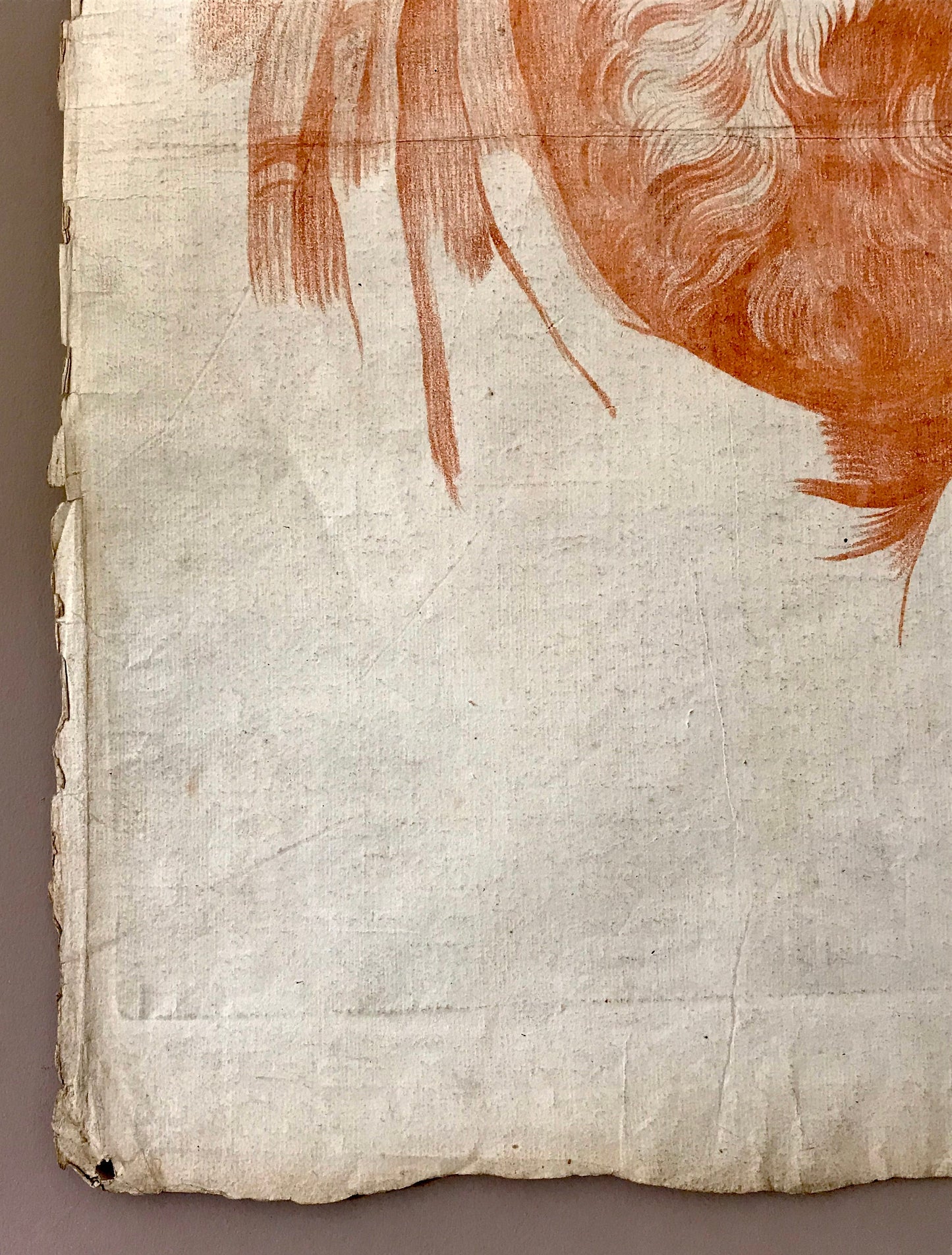An Original 18th Century Sanguine Portrait. A Study of The Head of an Elderly Man. Handmade Paper. Large: 62 x 47 cms.