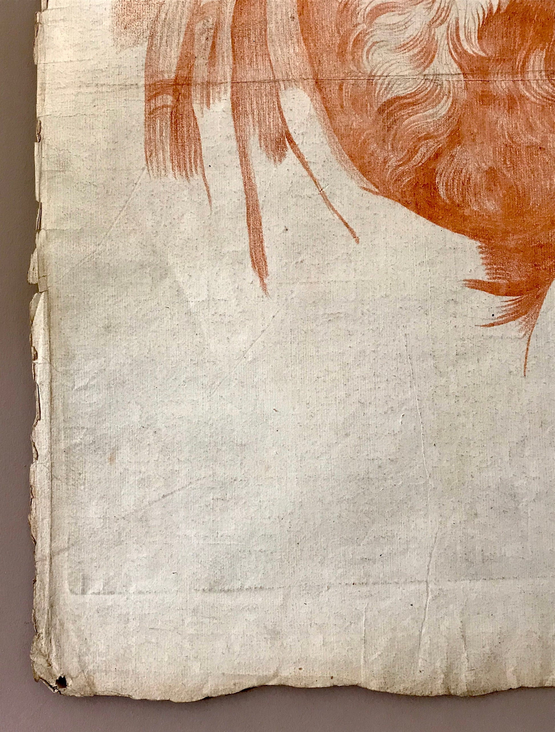An Original 18th Century Sanguine Portrait. A Study of The Head of an Elderly Man. Handmade Paper. Large: 62 x 47 cms.