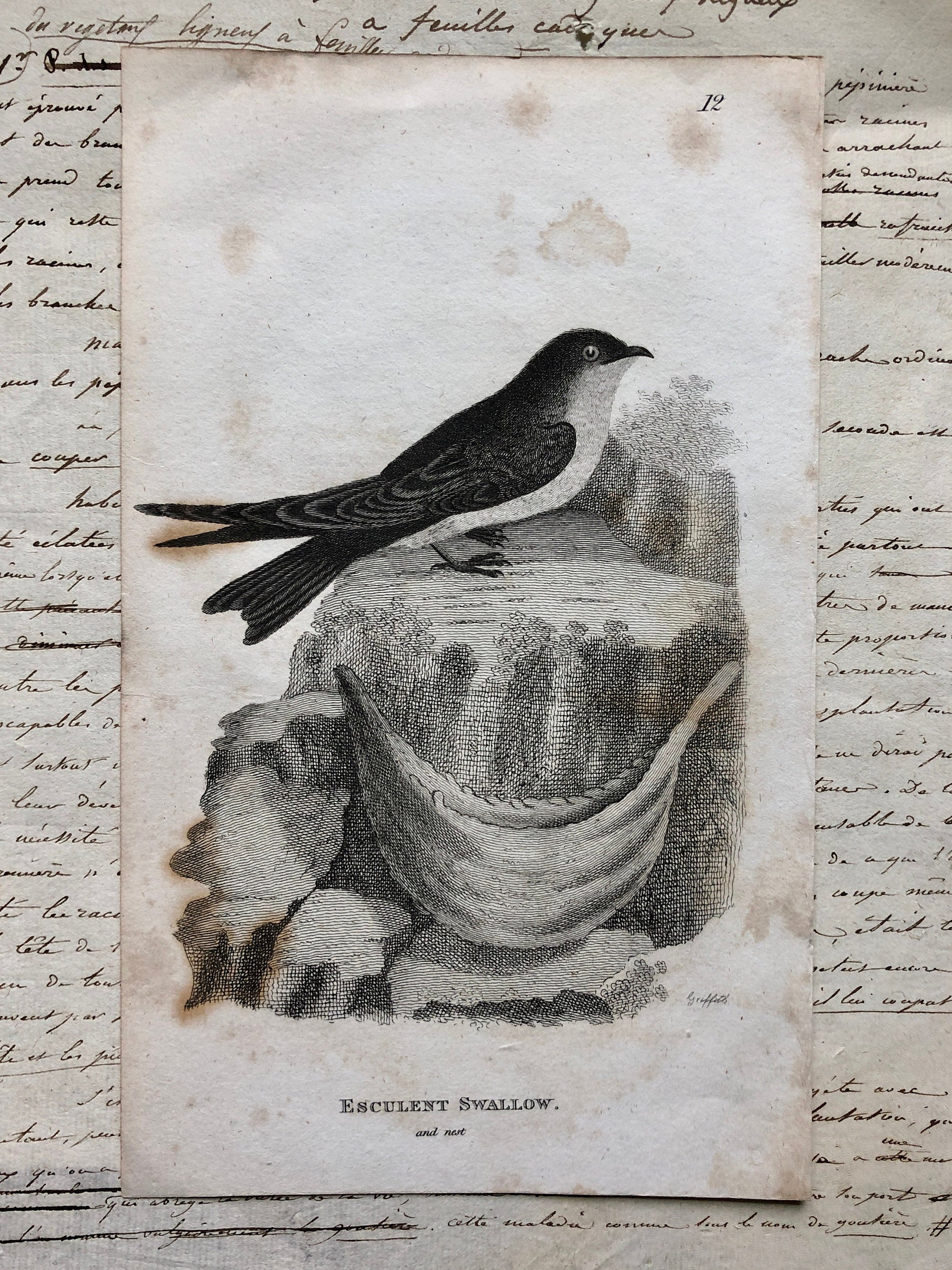 A Generous Quantity of Antique French Papers, Cards and Engravings. 1800’s and 1900’s. For collage and decorative purposes.