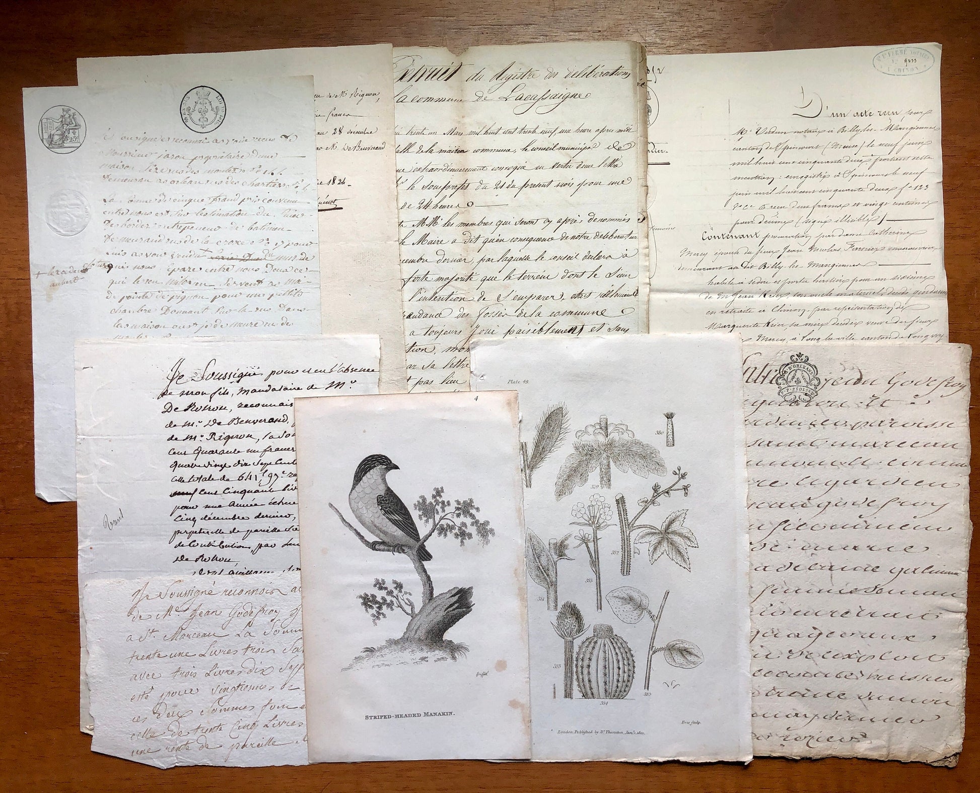 A Generous Quantity of Antique French Papers, Cards and Engravings. 1800’s and 1900’s. For collage and decorative purposes.