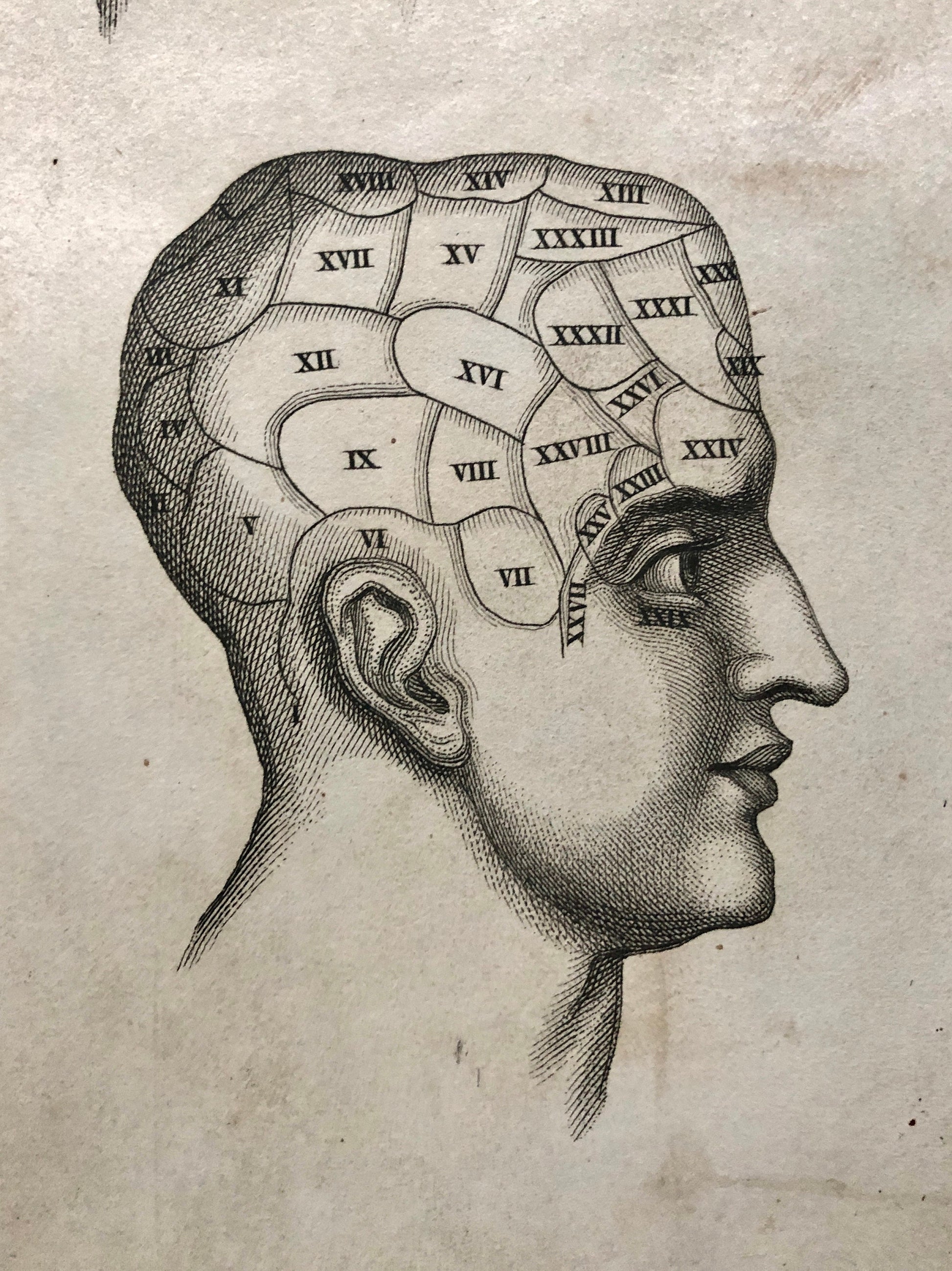 Two Engravings From Craniology Burlesqued in Serio-comic Lectures. Published by Effingham Wilson in 1818. Size: 22.5 x 13 cms.
