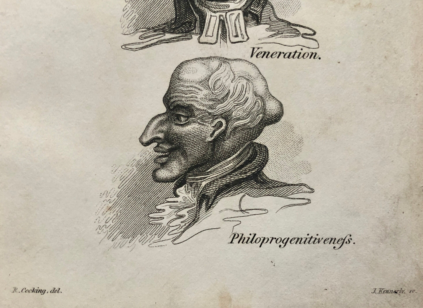 Two Engravings From Craniology Burlesqued in Serio-comic Lectures. Published by Effingham Wilson in 1818. Size: 22.5 x 13 cms.