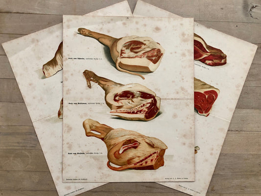 Three Large Prints From A German Cookbook Showing Various Cuts of Meat. Undated; the old script would suggest 1800’s. Size: 30 x 24 cms.