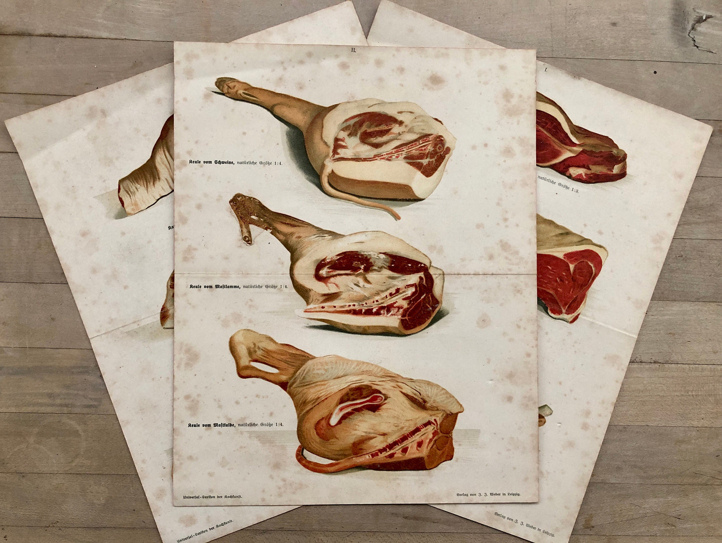 Three Large Prints From A German Cookbook Showing Various Cuts of Meat. Undated; the old script would suggest 1800’s. Size: 30 x 24 cms.