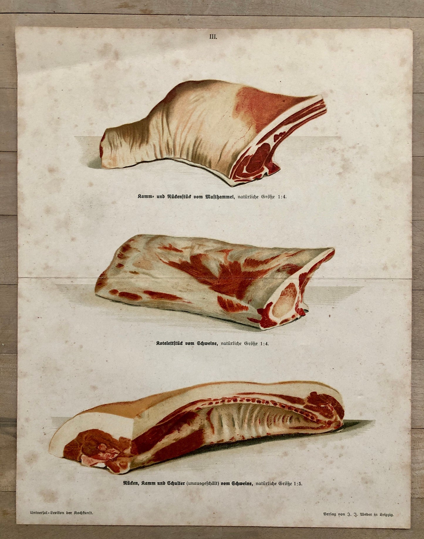 Three Large Prints From A German Cookbook Showing Various Cuts of Meat. Undated; the old script would suggest 1800’s. Size: 30 x 24 cms.