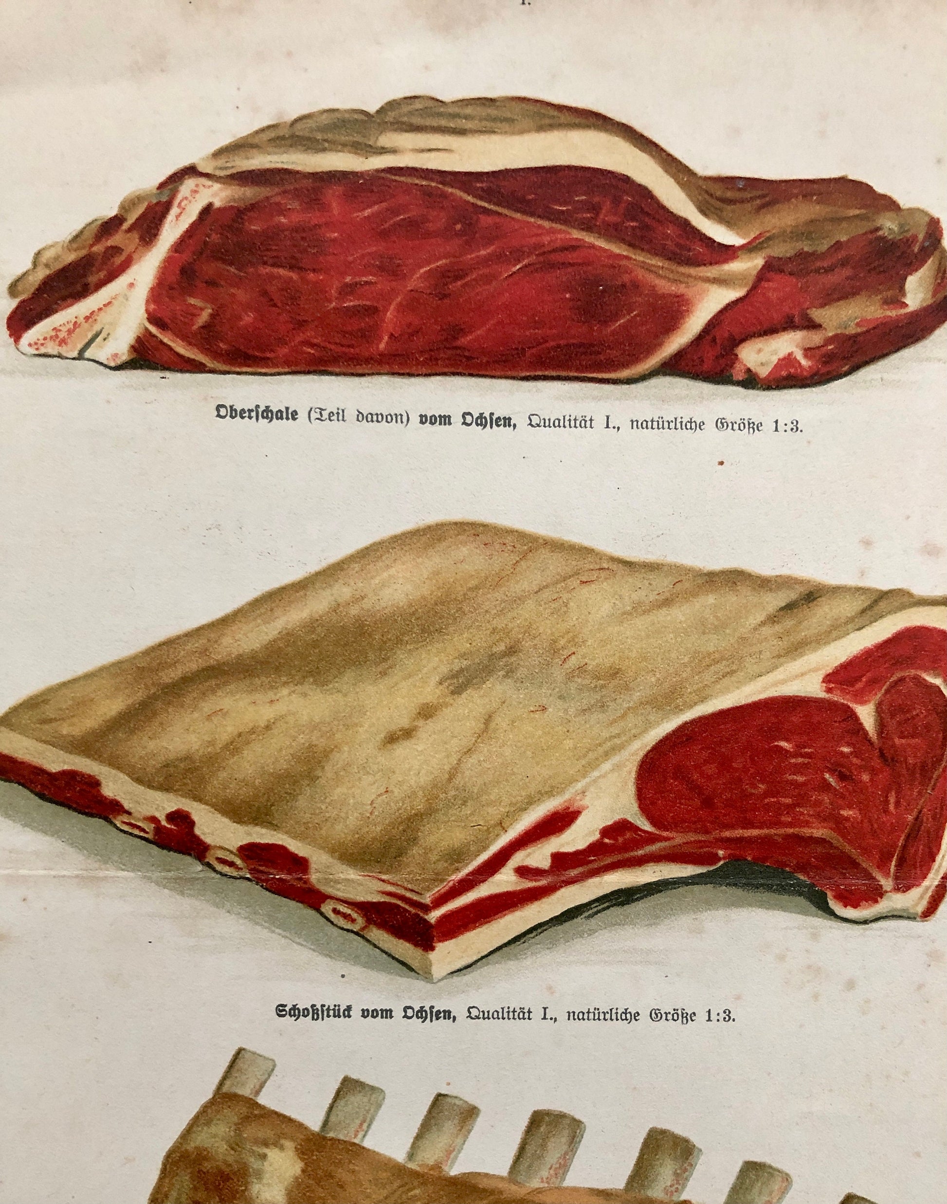 Three Large Prints From A German Cookbook Showing Various Cuts of Meat. Undated; the old script would suggest 1800’s. Size: 30 x 24 cms.