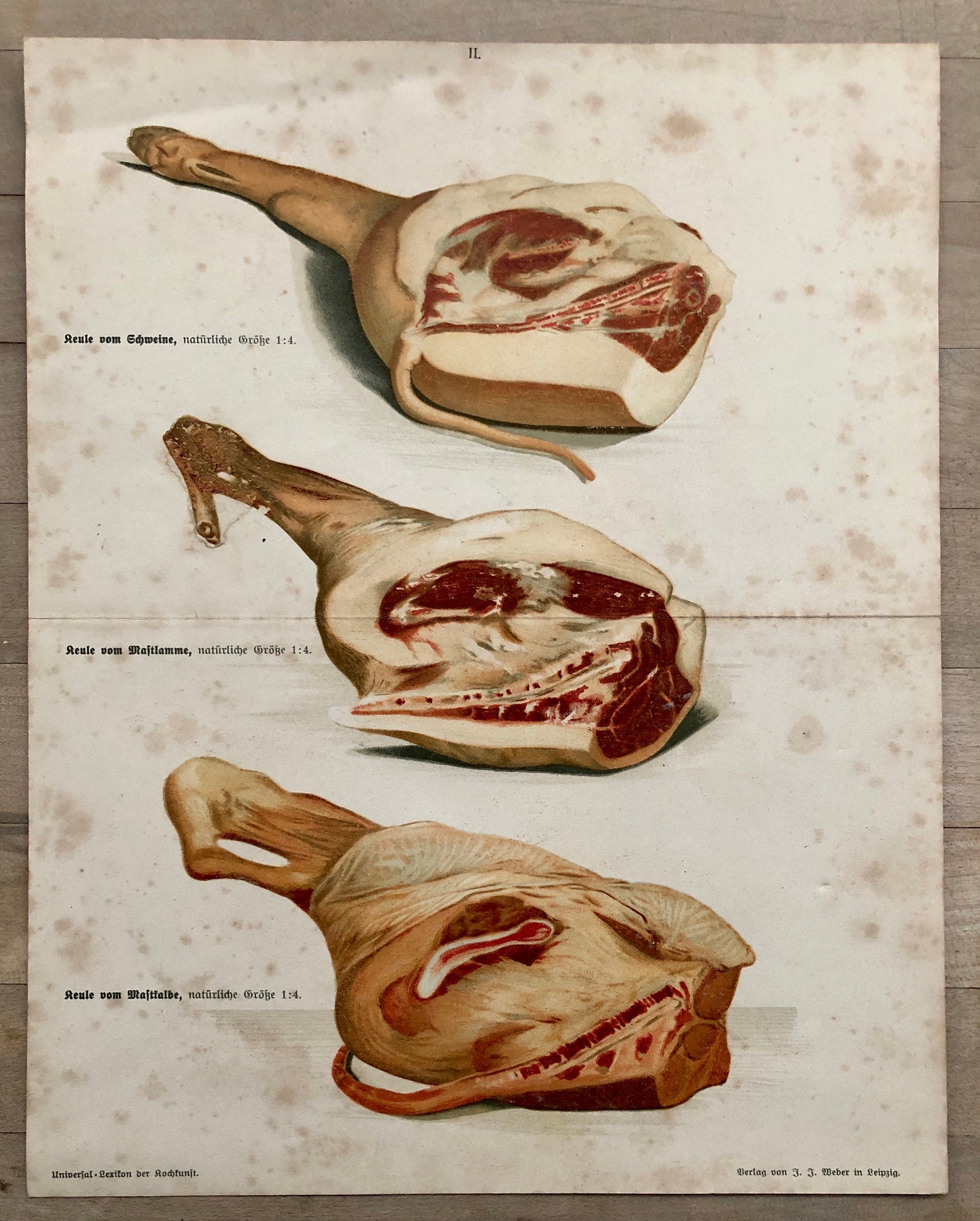 Three Large Prints From A German Cookbook Showing Various Cuts of Meat. Undated; the old script would suggest 1800’s. Size: 30 x 24 cms.