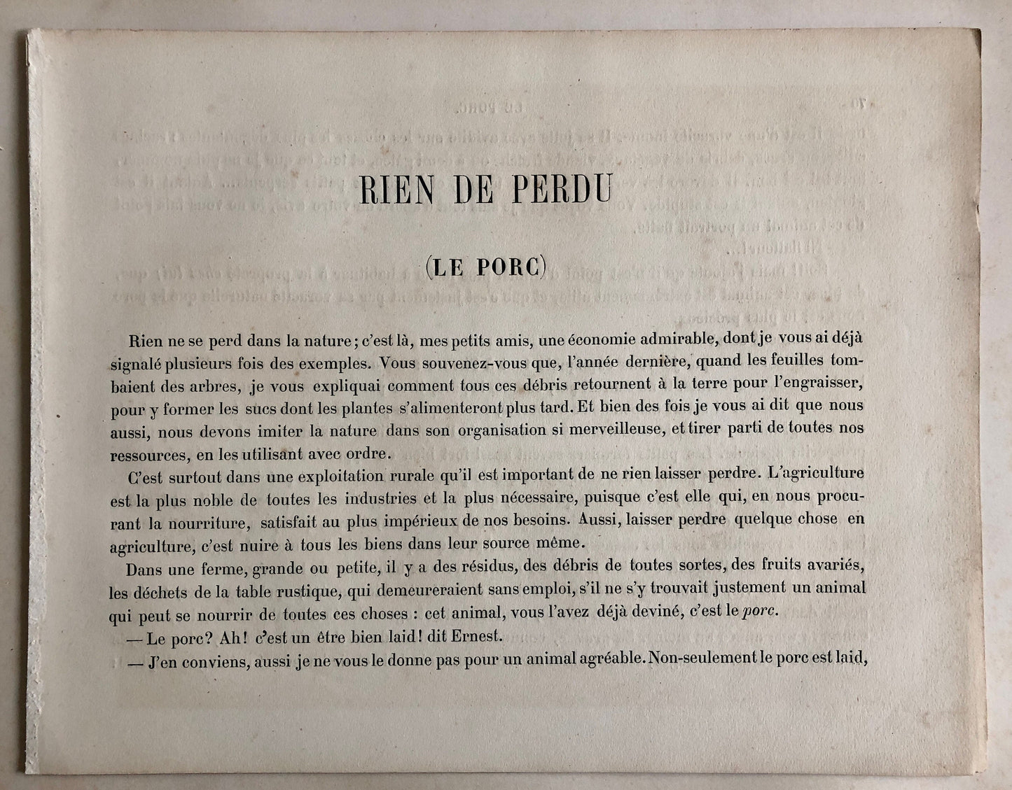 The Pig (Le Porc). A Large chromolithograph print from Les Animaux Domestiques by Mme Pape-Carpantier. Dated 1872. Size: 24.5 x 21.5 cms.