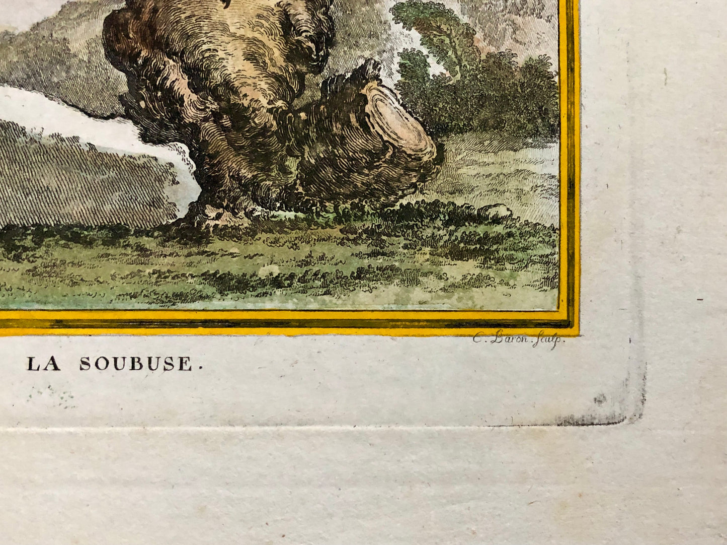 Le Soubuse. The Buzzard. An Antique Engraving from “Histoire Naturelle Des Oiseaux’ by Buffon. Circa 1770. Size: 27 x 19.5 cms.