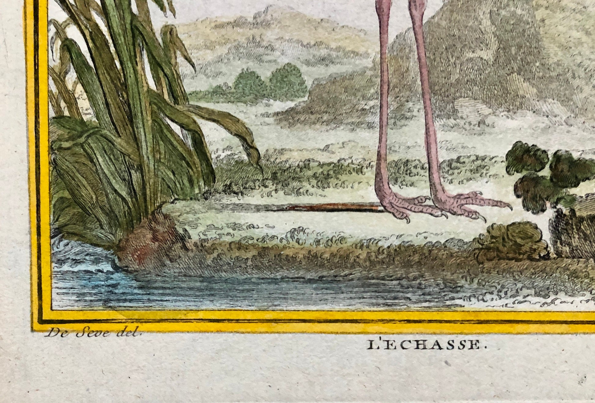 L’ Echasse. Hand Coloured Engraving From “L’Histoire Naturelle Des Oiseaux “ Buffon. C.1780. Near Fine Condition. 27 x 20 cms.