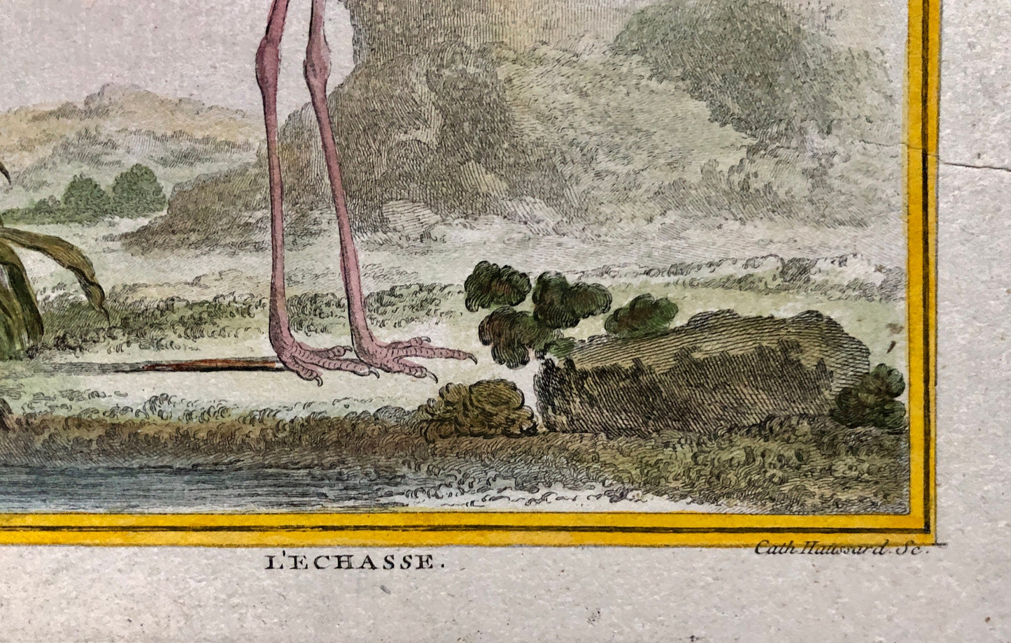 L’ Echasse. Hand Coloured Engraving From “L’Histoire Naturelle Des Oiseaux “ Buffon. C.1780. Near Fine Condition. 27 x 20 cms.