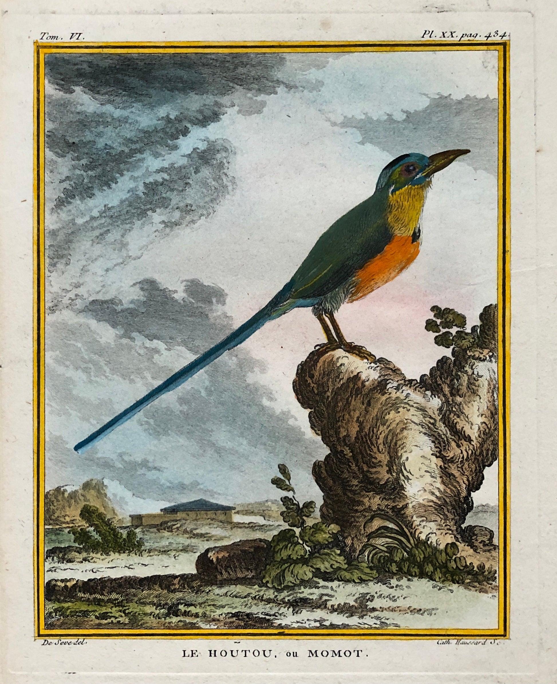 Le Houtou. An Engraving From ‘Histoire Naturelle Des Oiseaux’ by Buffon. Circa 1770. Fine Condition. Size: 26.6 x 21 cms.