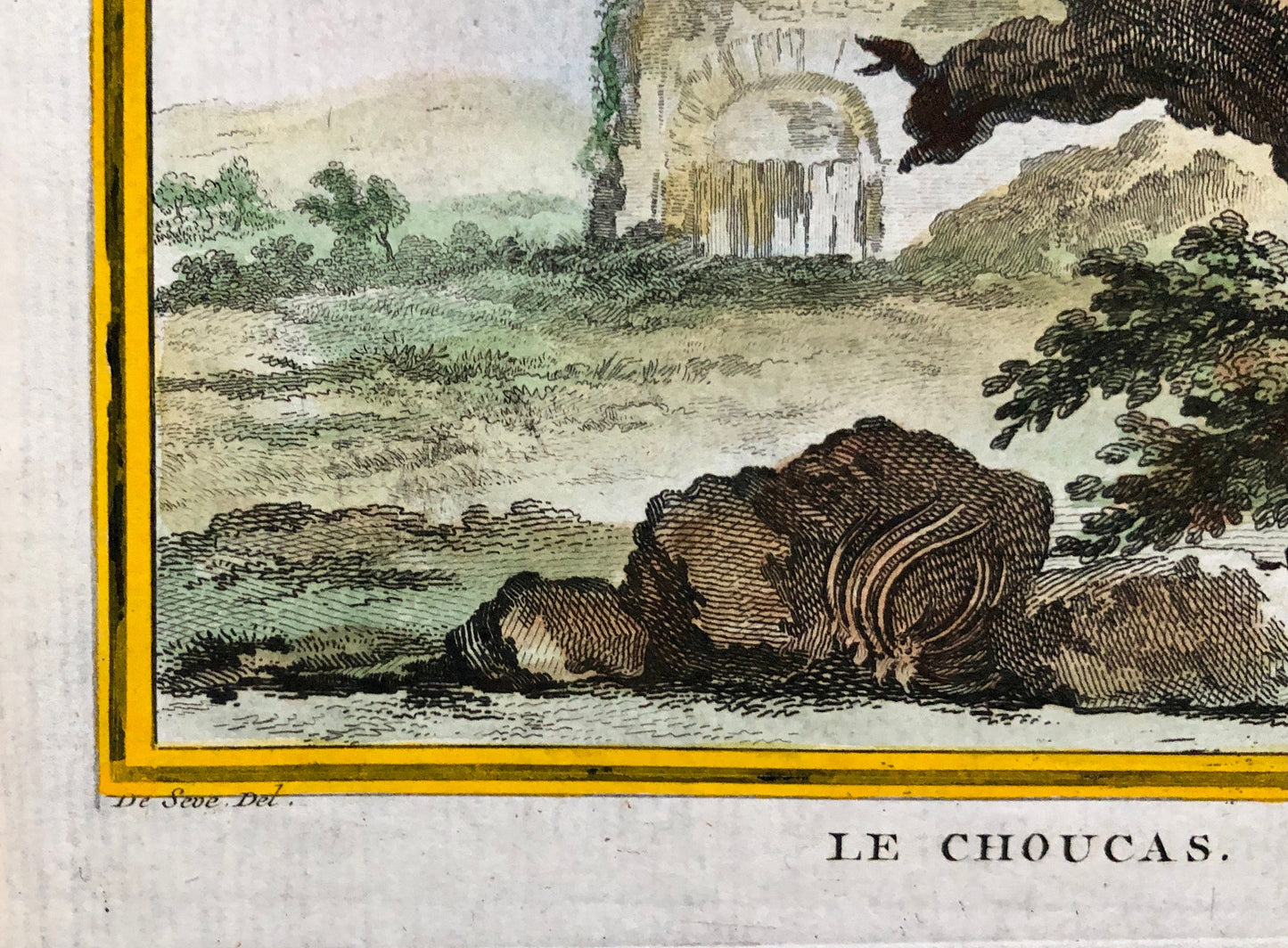 Le Choucas. An Antique Engraving from “Histoire Naturelle Des Oiseaux’ by Buffon. Engraved by Massard. Circa 1770. Size: 19.5 x 15.5 cms.