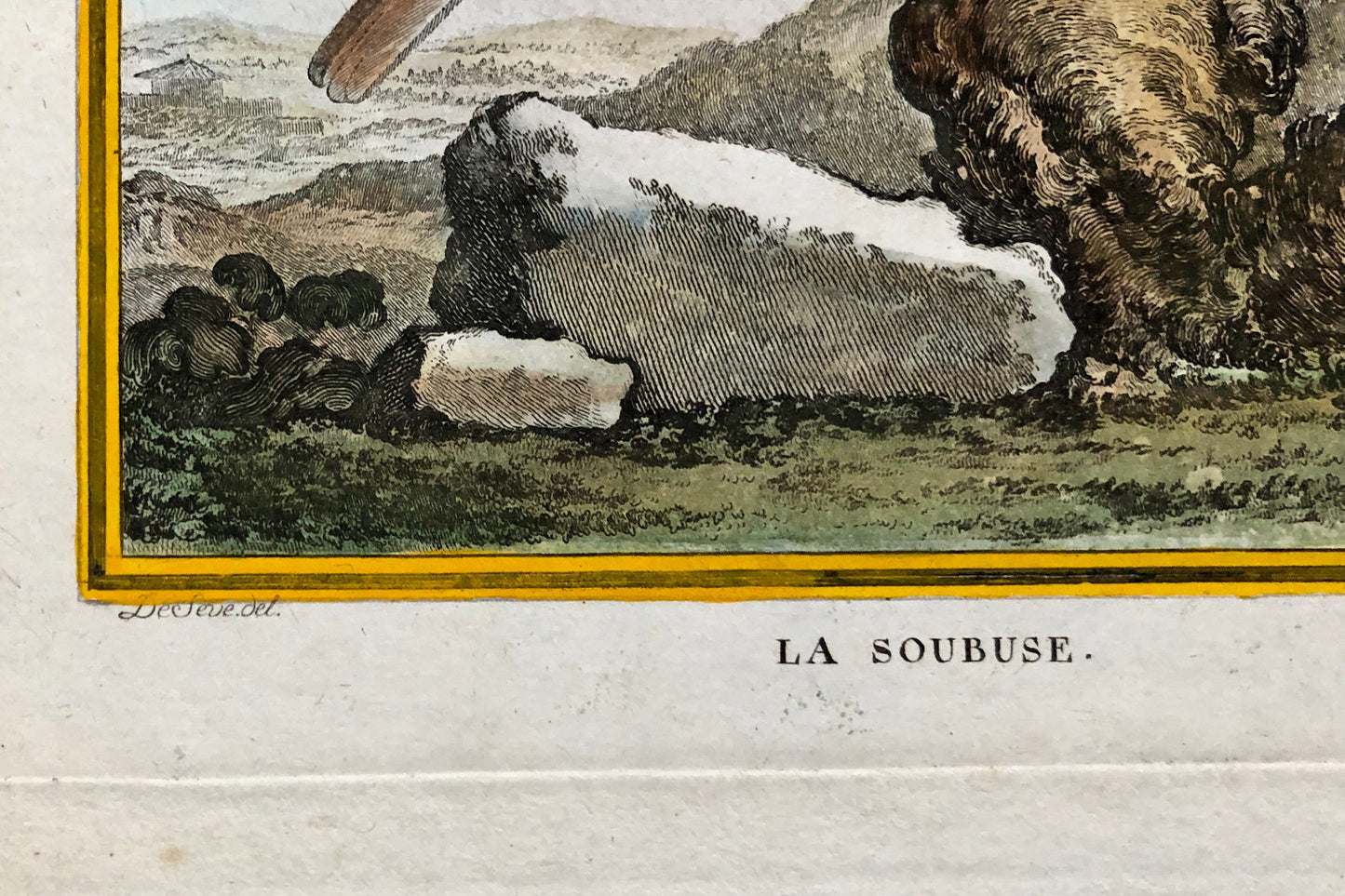 Le Soubuse. The Buzzard. An Antique Engraving from “Histoire Naturelle Des Oiseaux’ by Buffon. Circa 1770. Size: 27 x 19.5 cms.