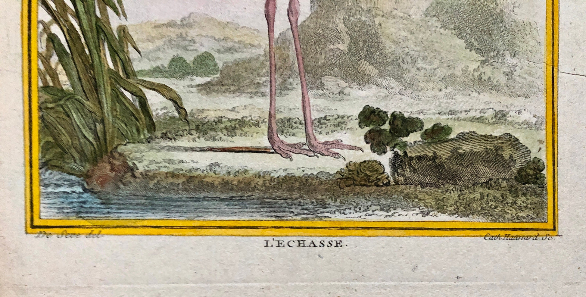 L’ Echasse. Hand Coloured Engraving From “L’Histoire Naturelle Des Oiseaux “ Buffon. C.1780. Near Fine Condition. 27 x 20 cms.