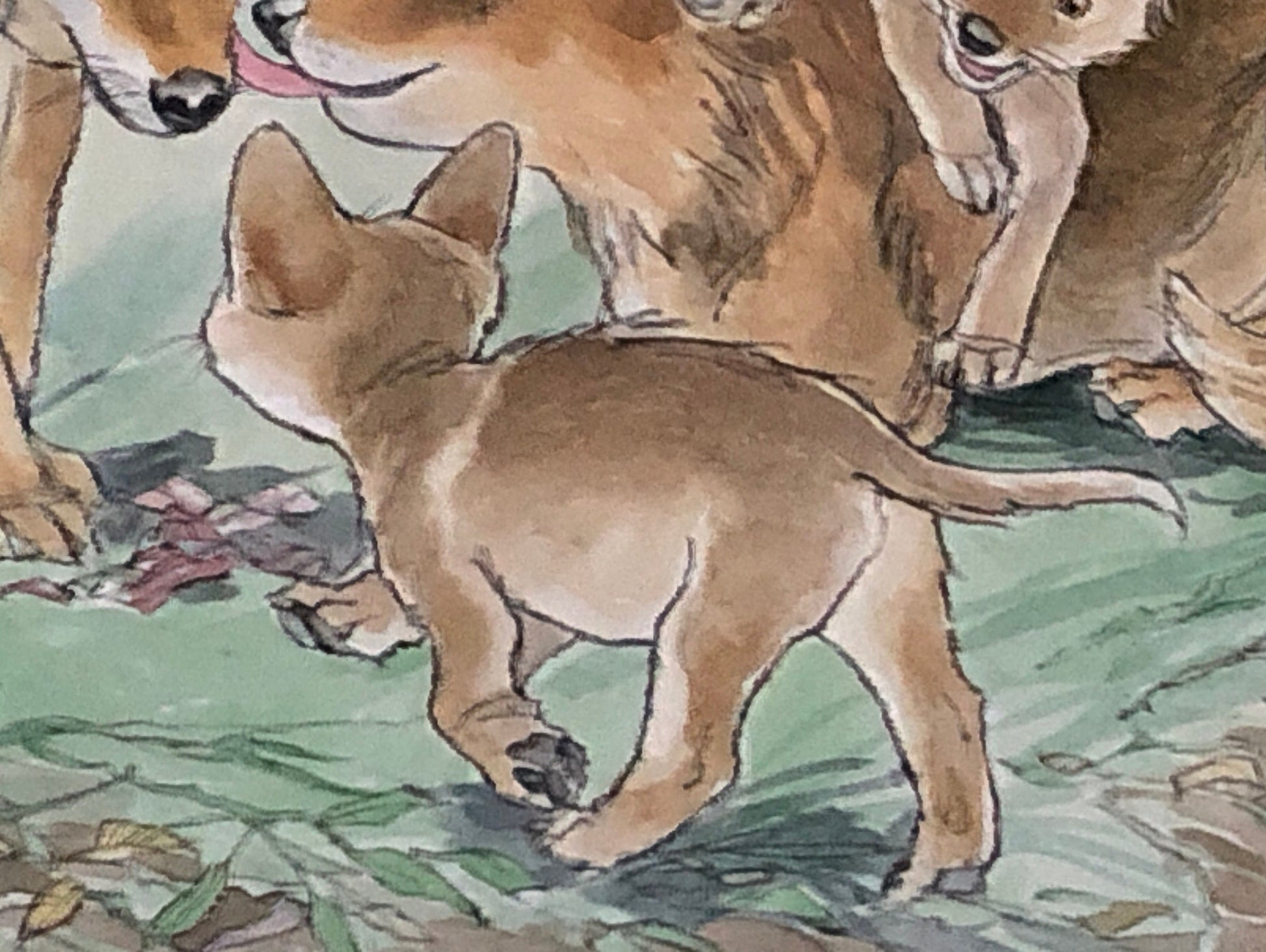 An Original Artwork by Barbra Firth for Walker Books. We Heard The Coyotes Sing. Watercolour. Size: 30.5 x 61 cms.