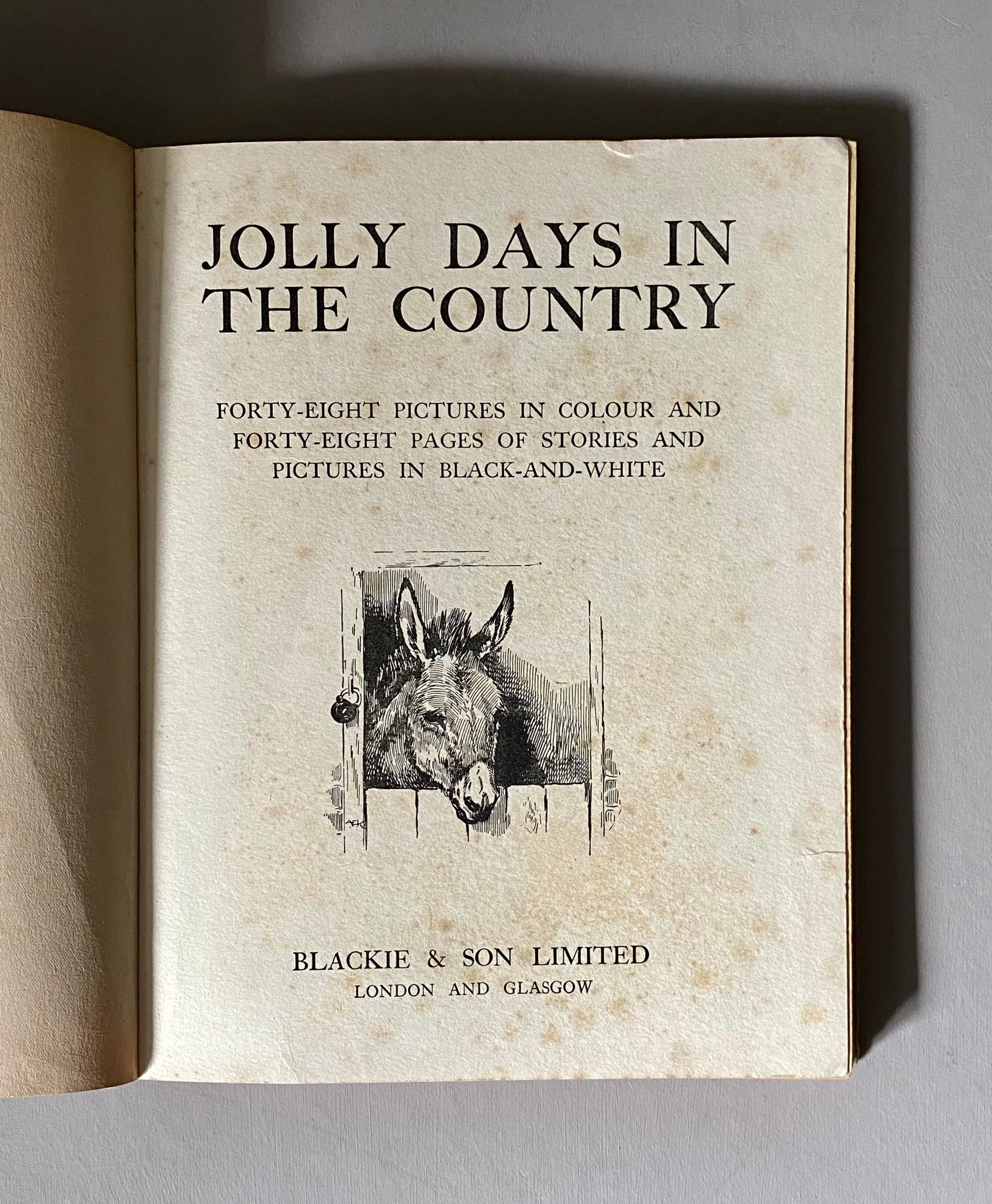 Jolly Days In The Country. By Blackie & Son. Published in 1938. With 48 full page Pictures in Colour By Well Known Artists. Size: 29 x 23.