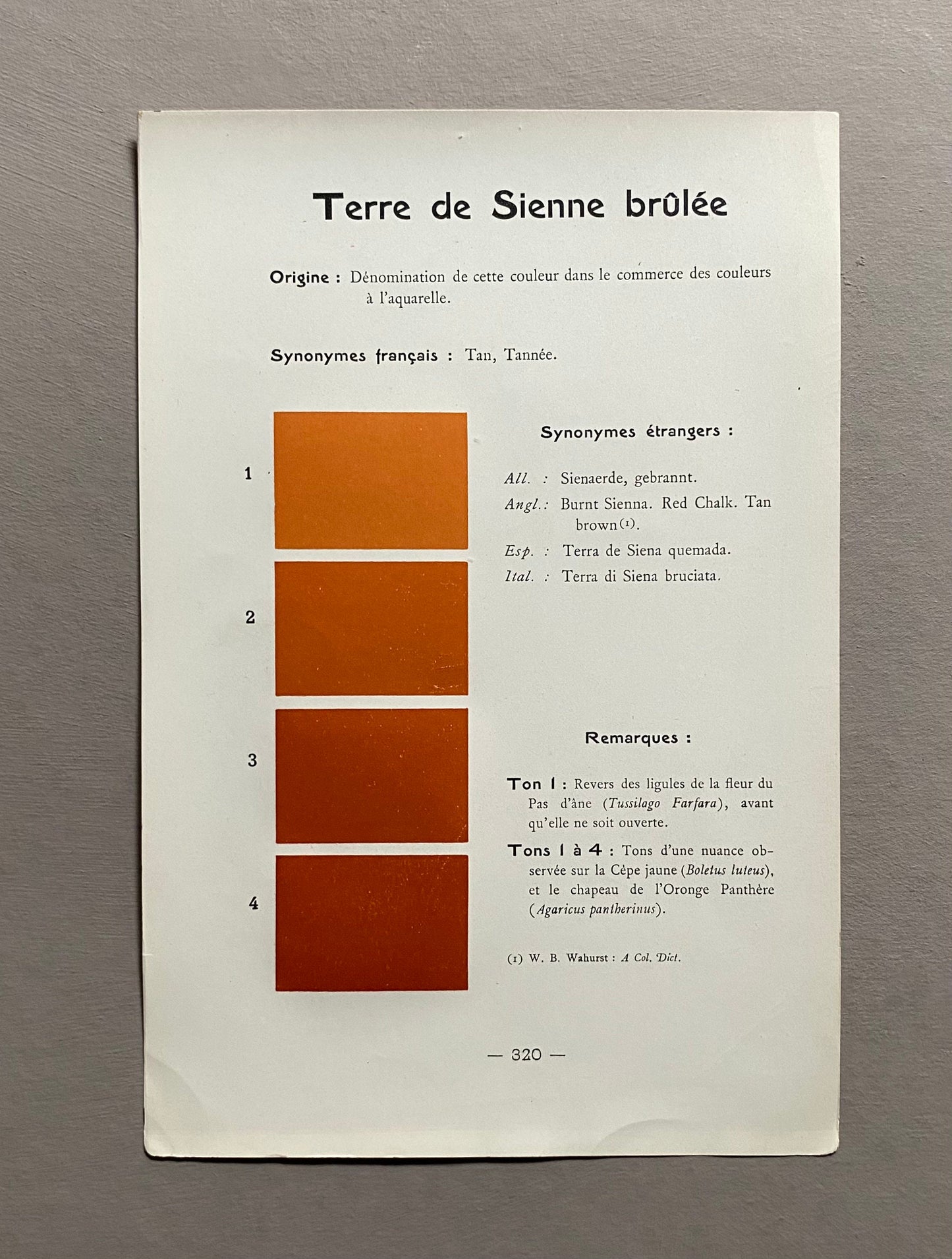 Orange/Brown/Terracotta. Colour Charts. Four Plates From Le Repetoire Des Planches by Dauthenay. French. Published in 1909. 24 x 16 cms.