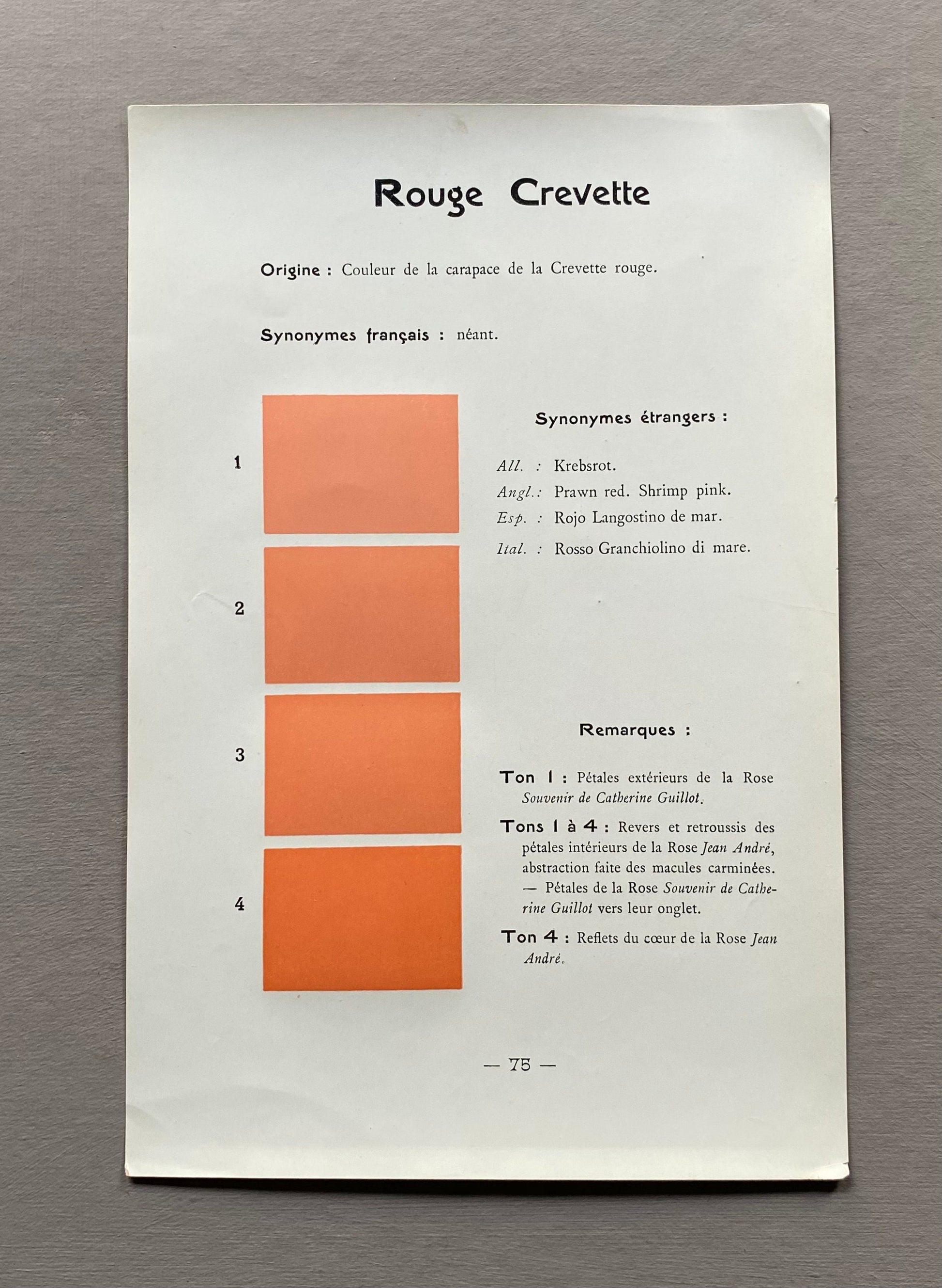 Coral Pink. Colour Charts. Four Plates From Le Repetoire Des Planches by Dauthenay. French. Published in 1909. 24 x 16 cms each.