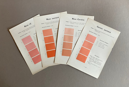 Pink. Colour Charts. Four Plates From Le Repetoire Des Planches by Dauthenay. French. Published in 1909. 24 x 16 cms each.