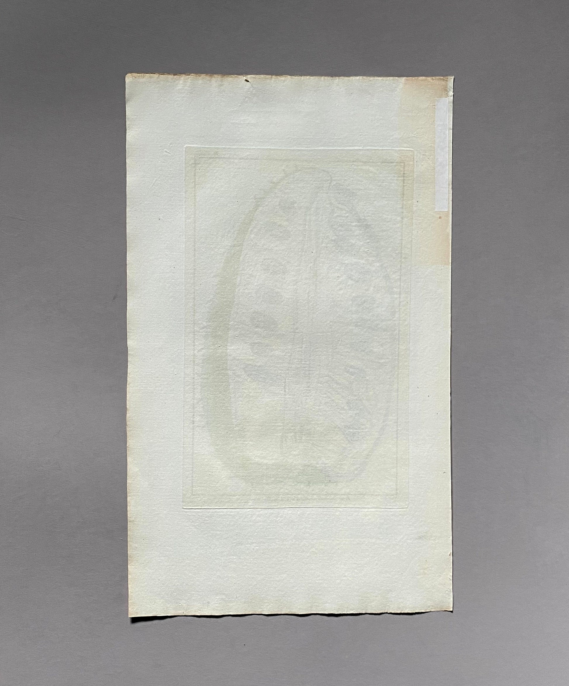 Fruit coupé Du Grand Corosal. A Hand Coloured Copper Plate Engraving by Pierre Joseph Buchoz. Circa 1770. Size: 47.5 x 29 cms.