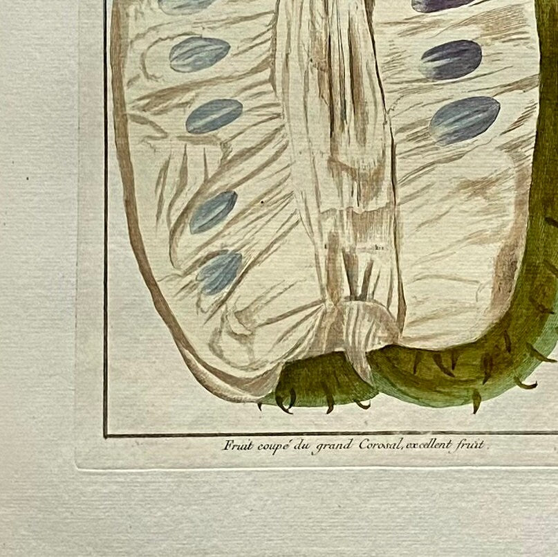 Fruit coupé Du Grand Corosal. A Hand Coloured Copper Plate Engraving by Pierre Joseph Buchoz. Circa 1770. Size: 47.5 x 29 cms.