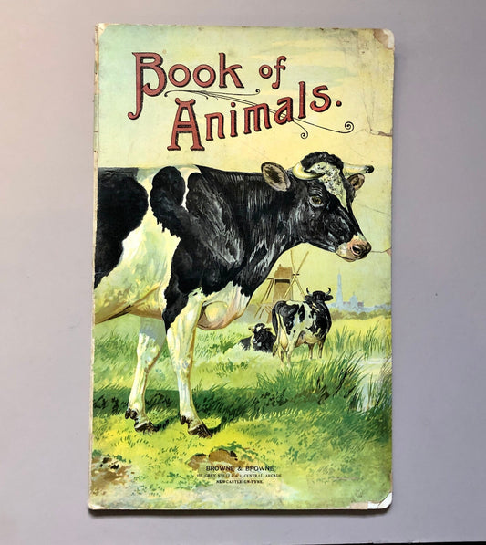 Book of Animals. Published by Browne and Browne of Newcastle In The Late 1800’s. Large Format. 7 Pictures. 26 x 41 cms.