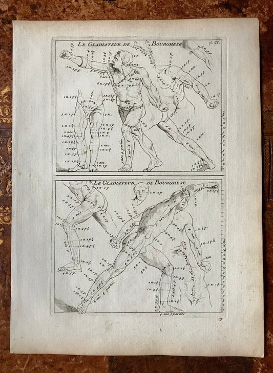 An Original Engraving from The ‘Nouvelle Methode Pour Apprendre a Dessiner Sans Maitre”. French. 1740. Size 29 x23 cms