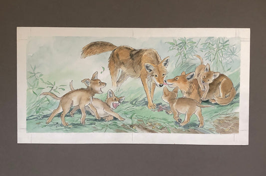 An Original Artwork by Barbra Firth for Walker Books. We Heard The Coyotes Sing. Watercolour. Size: 30.5 x 61 cms.