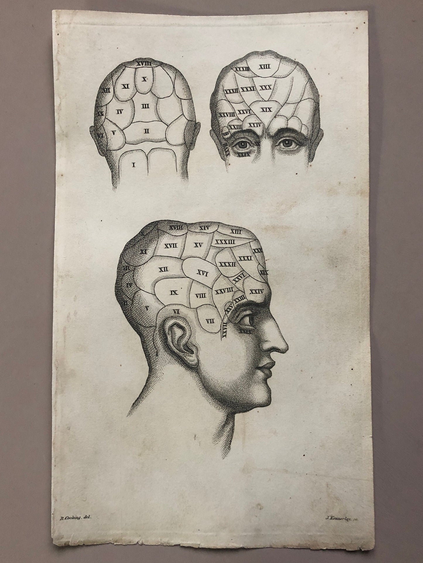 Two Engravings From Craniology Burlesqued in Serio-comic Lectures. Published by Effingham Wilson in 1818. Size: 22.5 x 13 cms.