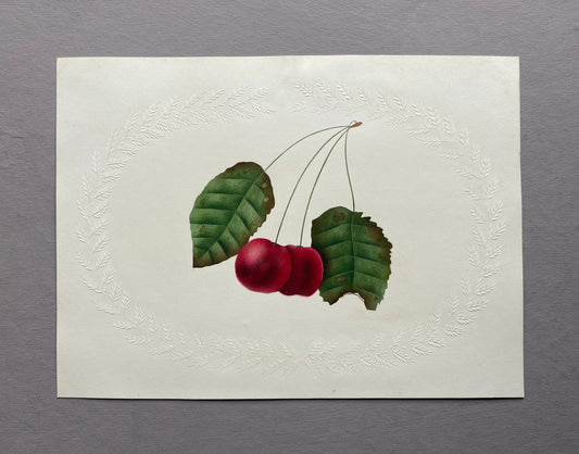 Cherries. An Original Watercolour. Georgian. Known To Be Produced In The Early 1800’s. Unsigned. Size: 21 x 16 cms.