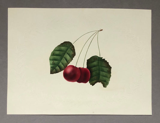 An Original Georgian Watercolour. Cherries Within and Embossed Paper Surround. Size: 21.5 x 16 cms.