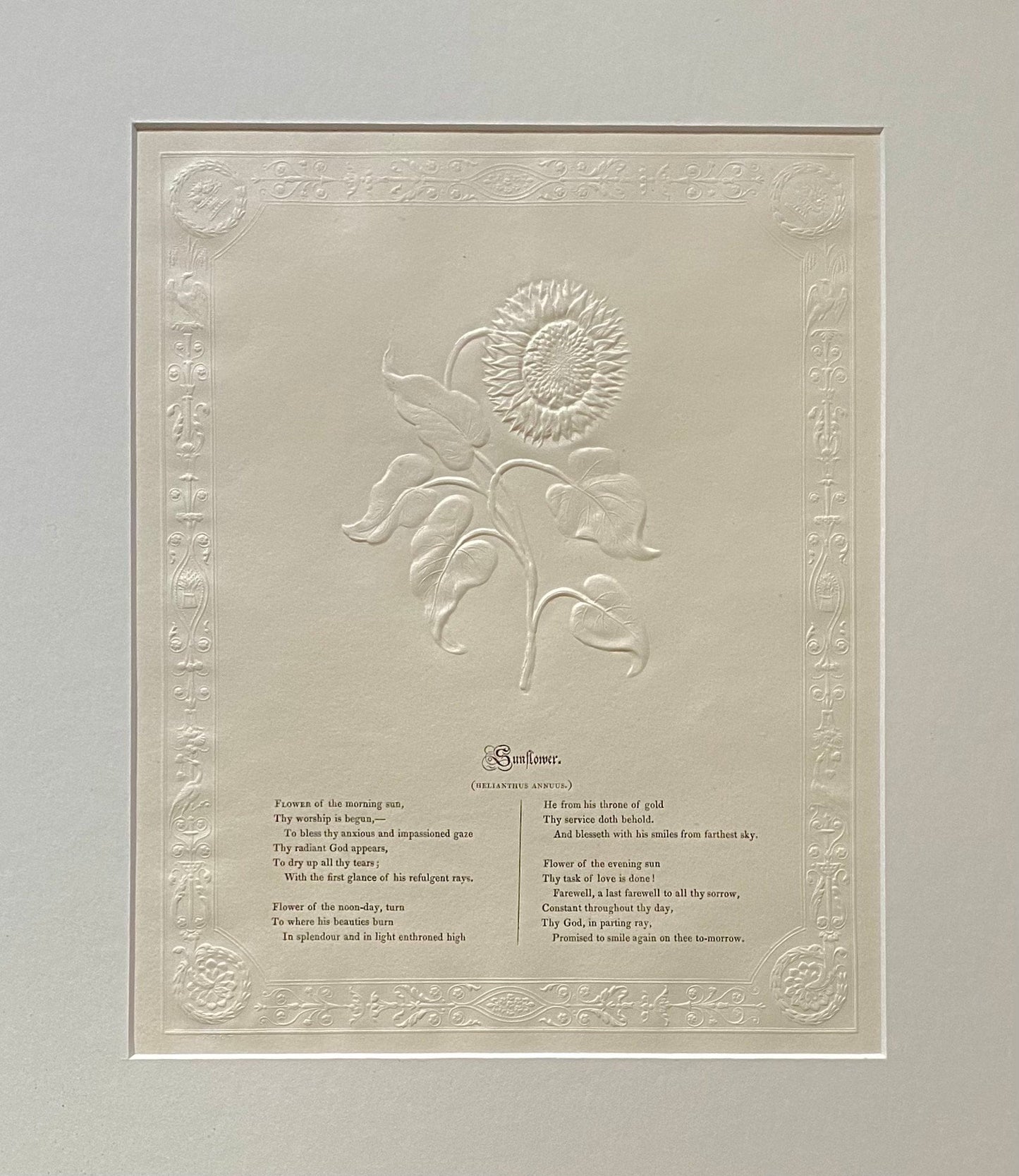 Sunflower. An Antique Embossed Paper Image. With Poem in Black Script. Framed Using Clear Glass in a Limed Frame. Size: 35 x 30.5 cms.