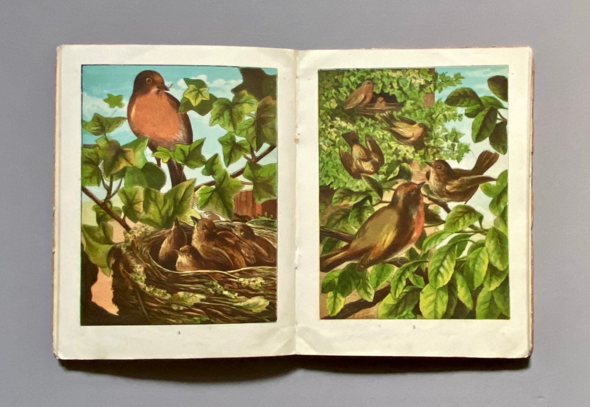 Home Favourites. Four Stories. Thirty-two Full Page Illustrations. Published by Frederick Warne Circa 1875. Size: 25 x 19 cms.