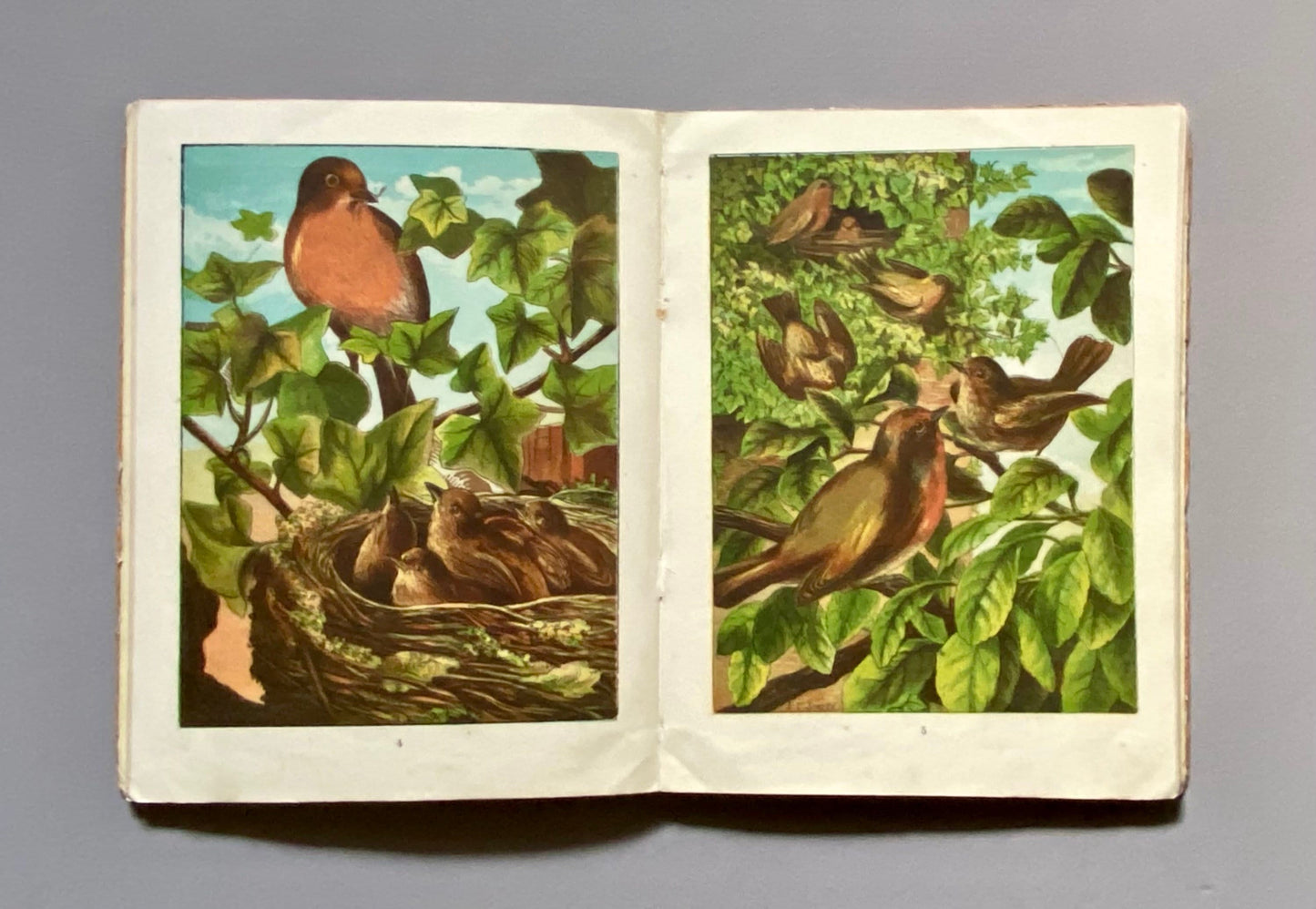 Home Favourites. Four Stories. Thirty-two Full Page Illustrations. Published by Frederick Warne. Circa 1875. Size: 25 x 19 cms.