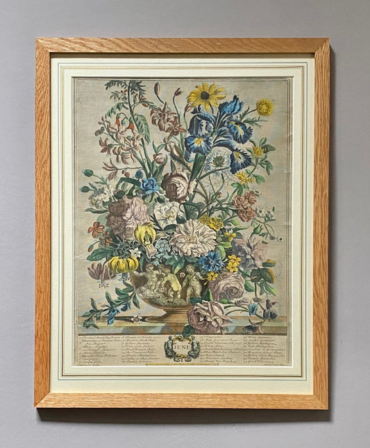 Robert Furber’s 12 Months of Flowers. A Rare Original Set from 1730. Engraved by Henry Fletcher. Size in Frame: 40.8 x 51.4 cms.