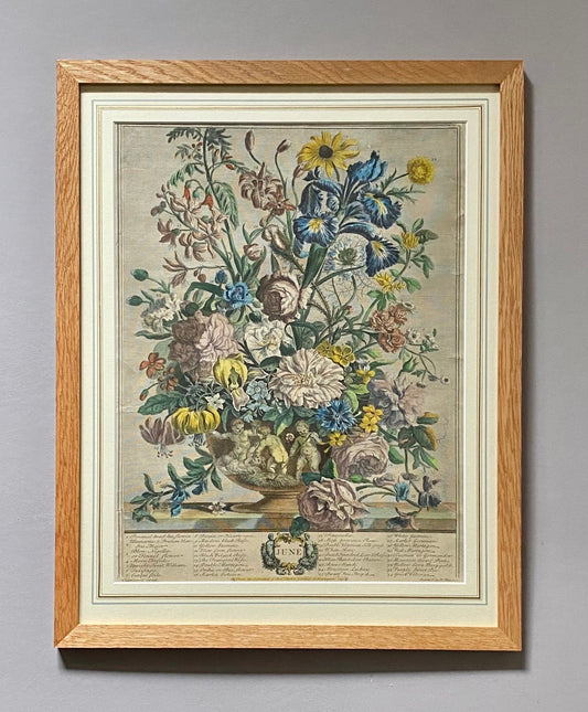 Robert Furber’s 12 Months of Flowers. A Rare and genuine Set from 1730. Engraved by Henry Fletcher. Size in Frame: 40.8 x 51.4 cms.