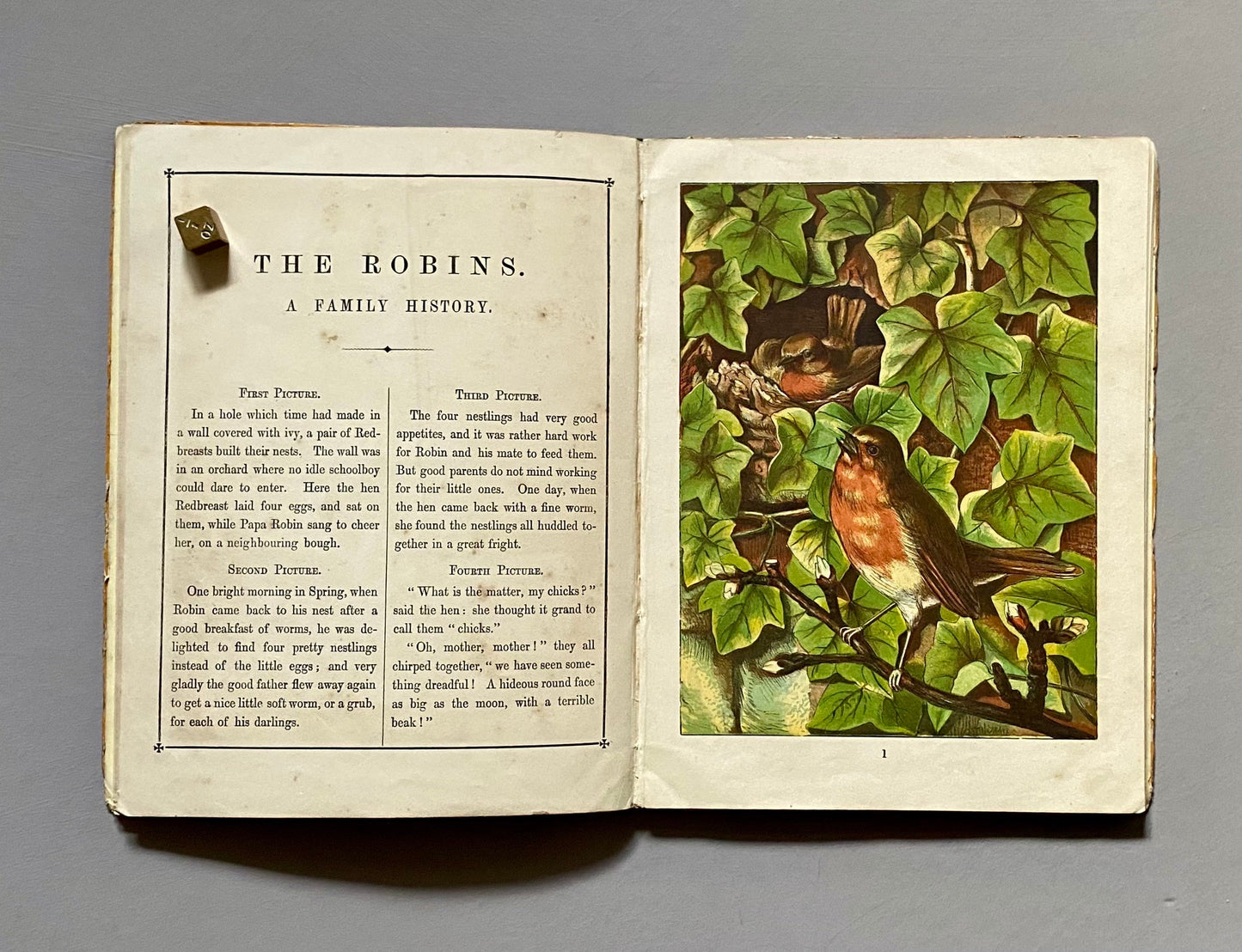 Home Favourites. Four Stories. Thirty-two Full Page Illustrations. Published by Frederick Warne. Circa 1875. Size: 25 x 19 cms.