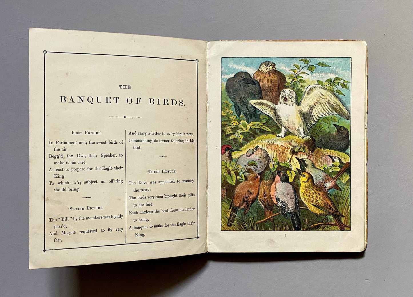 Home Favourites. Four Stories. Thirty-two Full Page Illustrations. Published by Frederick Warne. Circa 1875. Size: 25 x 19 cms.