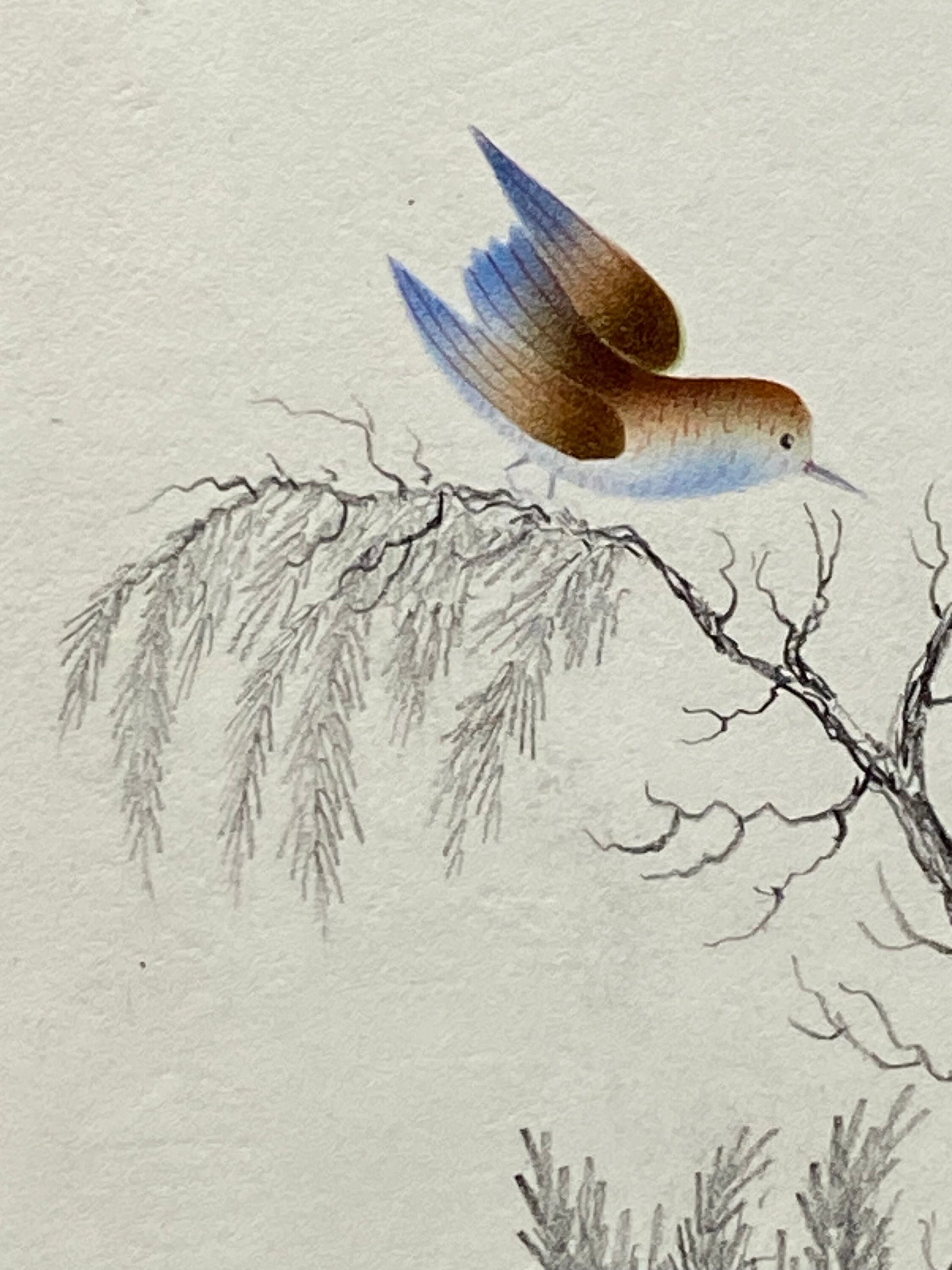 Two Birds and A Nest. An Original Georgian Watercolour. Size: 17.5 x 14.5 cms.