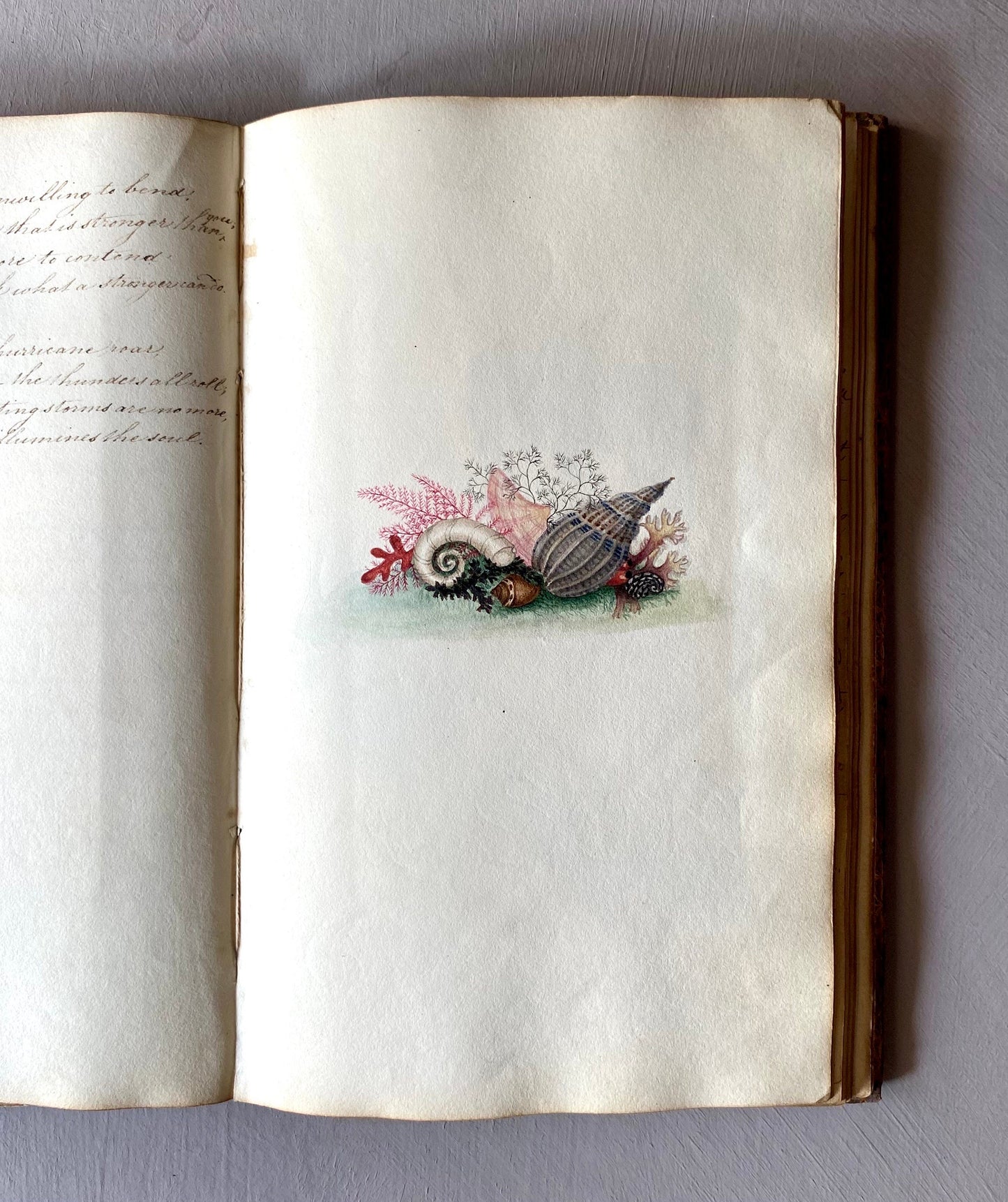 A Scrapbook From The Early 1800s. Watercolours, Drawings and Decorative Script. Size: 12.3 x 20.5 cms.