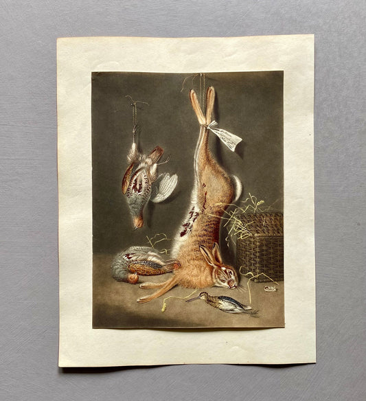 Game Birds and a Hare. A Finely Painted Engraving. Watercolour. Late 1800s. Size: 20.4 x 15.3 cms.