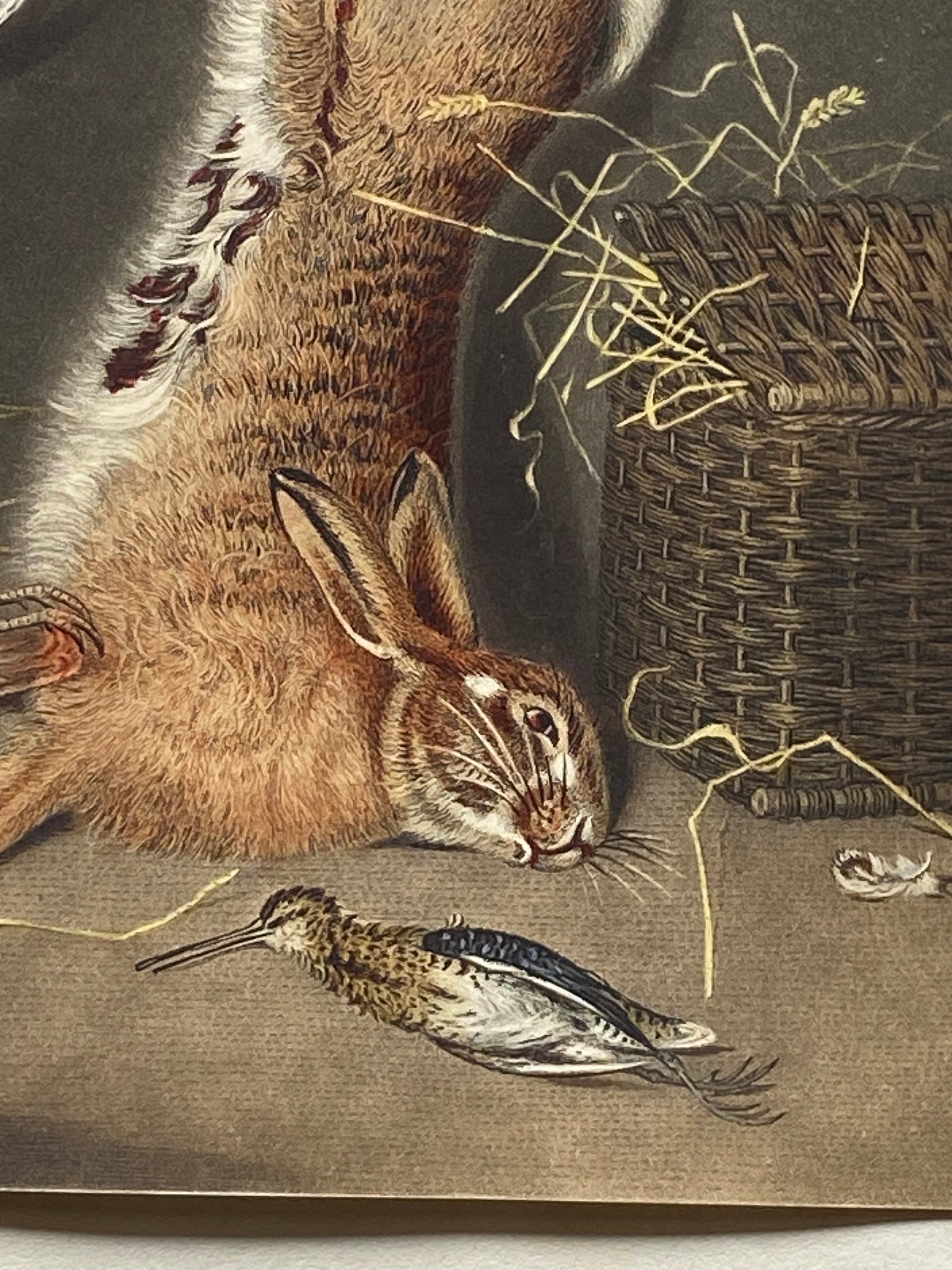 Game Birds and a Hare. A Finely Painted Engraving. Watercolour. Late 1800s. Size: 20.4 x 15.3 cms.
