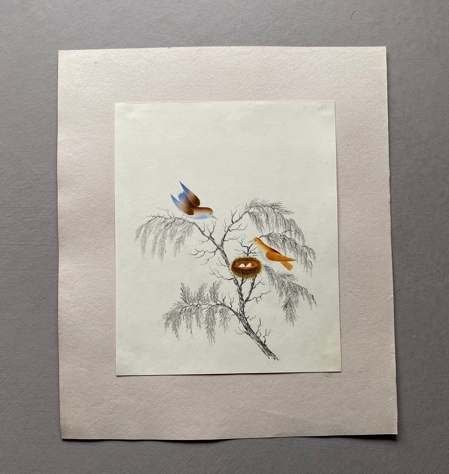 Two Birds and A Nest. An Original Georgian Watercolour. Size: 17.5 x 14.5 cms.