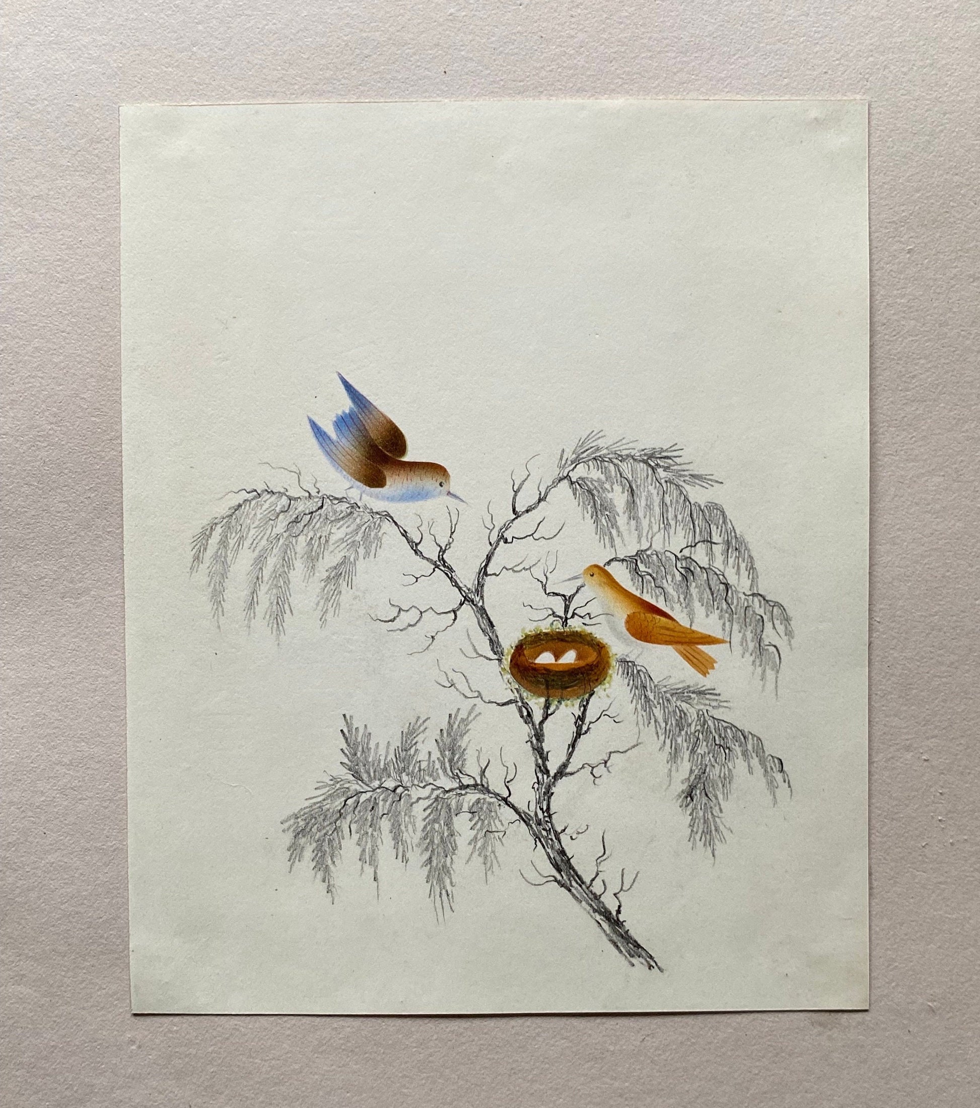 Two Birds and A Nest. An Original Georgian Watercolour. Size: 17.5 x 14.5 cms.