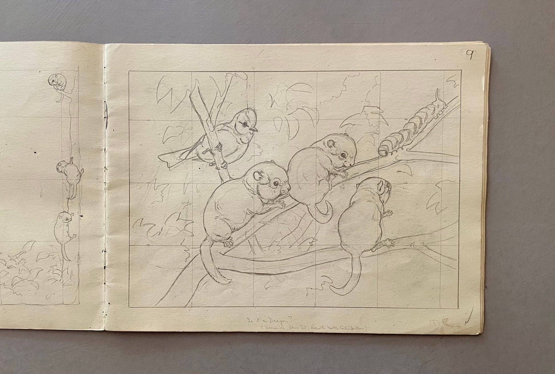 Original Artwork For An Illustrated Book. 22 Black & White Pencil Drawings and 2 Watercolour Pictures. 1950’s. Size: 30.5 x 23.3 cms.