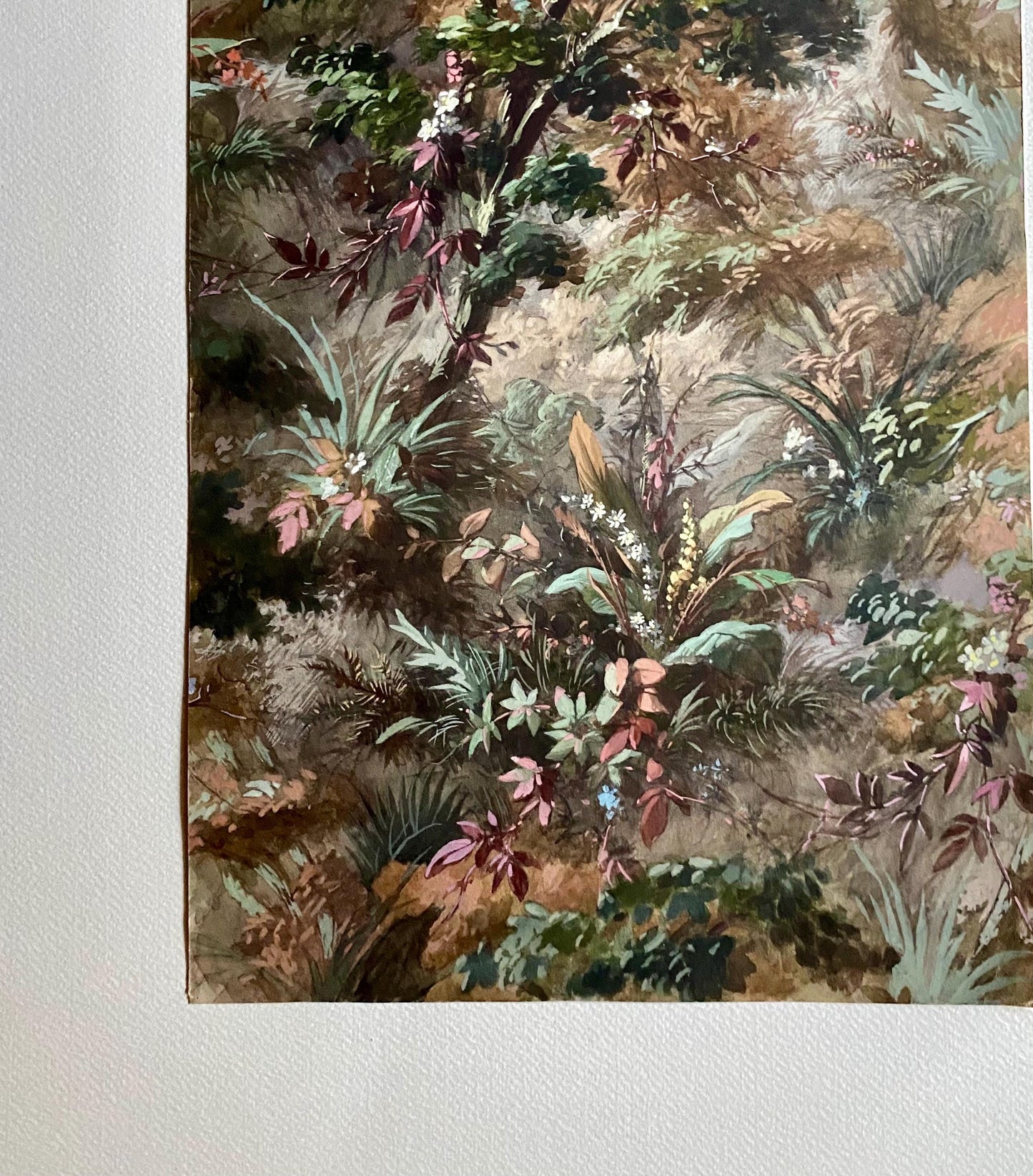 An Original, Antique, Hand Painted, Watercolour Design For A Carpet. Plaissier Brother, Nimes, France. Late 1800s. Size: 46 x 27 cms.