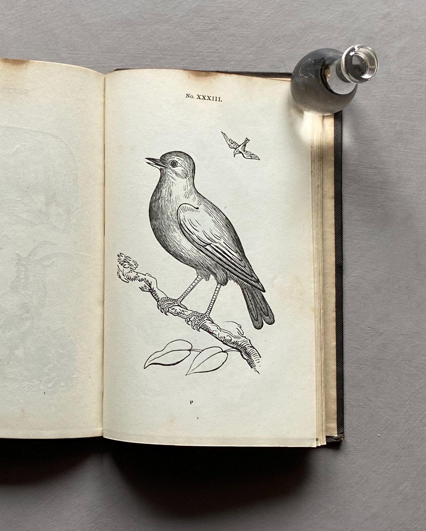 A First Book of Drawing by William and Robert Chambers. 48 Drawings To Copy and Colour. Published in 1845. Size: 17.5 x 11 cms.