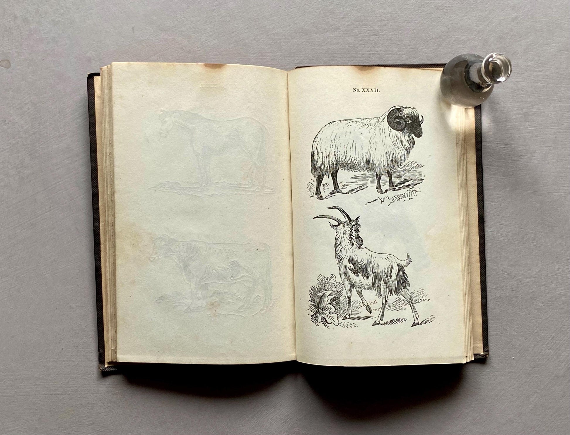 A First Book of Drawing by William and Robert Chambers. 48 Drawings To Copy and Colour. Published in 1845. Size: 17.5 x 11 cms.